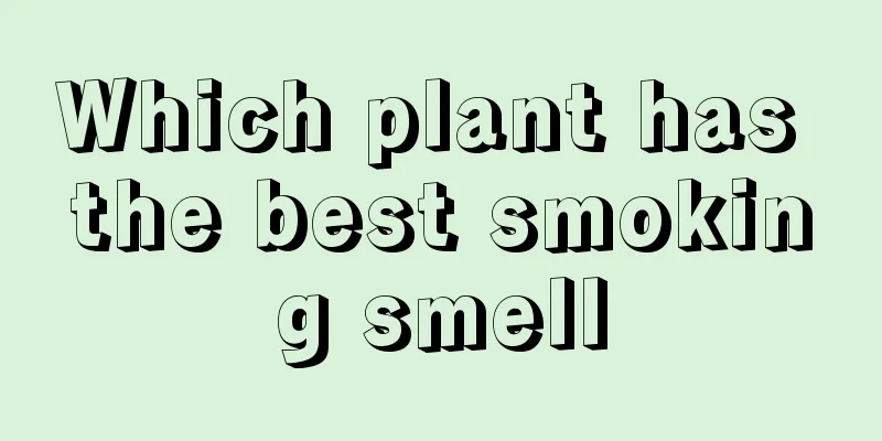 Which plant has the best smoking smell