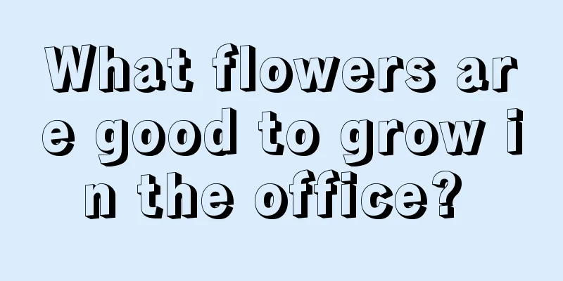 What flowers are good to grow in the office? 