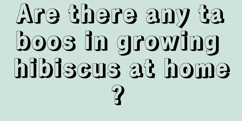 Are there any taboos in growing hibiscus at home? 