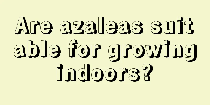 Are azaleas suitable for growing indoors? 