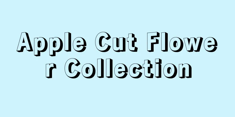 Apple Cut Flower Collection