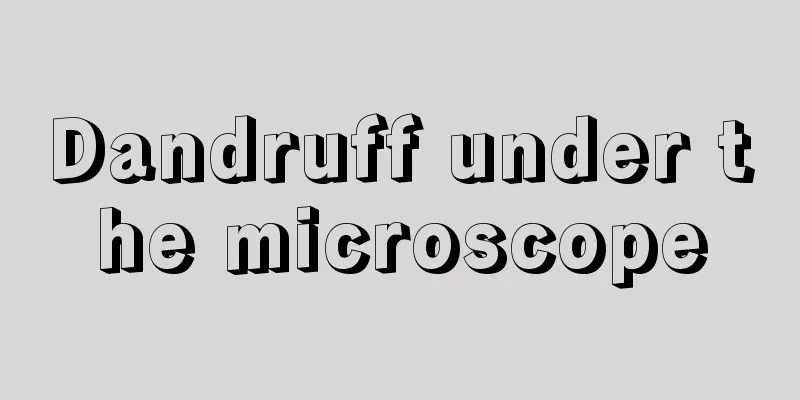 Dandruff under the microscope