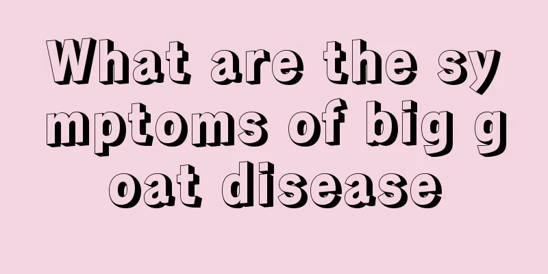 What are the symptoms of big goat disease