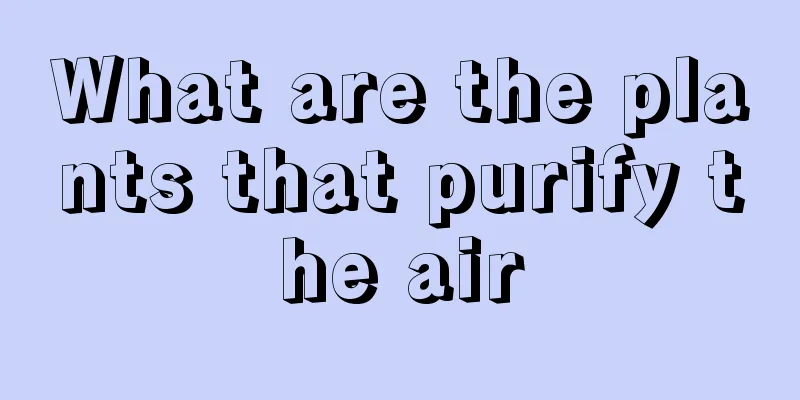 What are the plants that purify the air