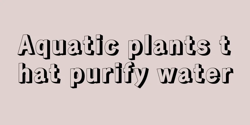Aquatic plants that purify water
