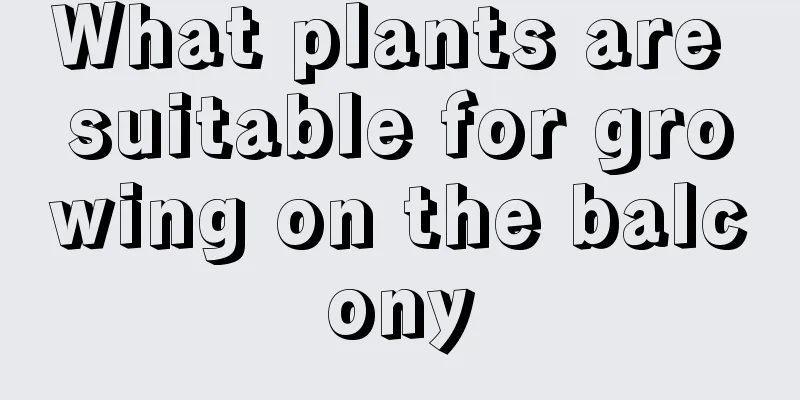 What plants are suitable for growing on the balcony