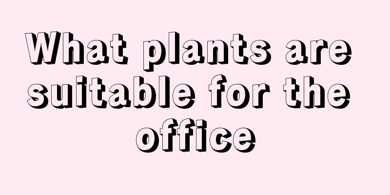 What plants are suitable for the office