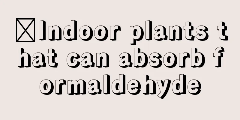 ​Indoor plants that can absorb formaldehyde