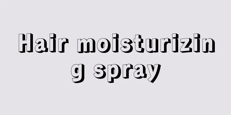 Hair moisturizing spray