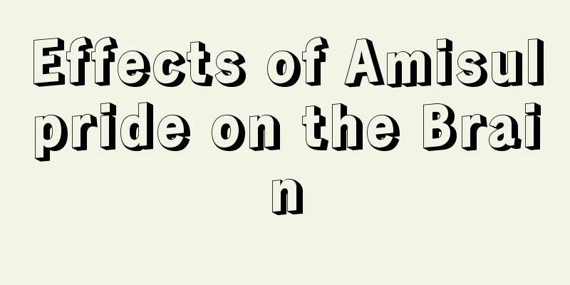 Effects of Amisulpride on the Brain
