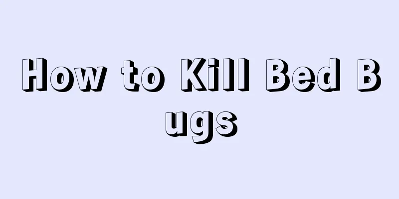 How to Kill Bed Bugs