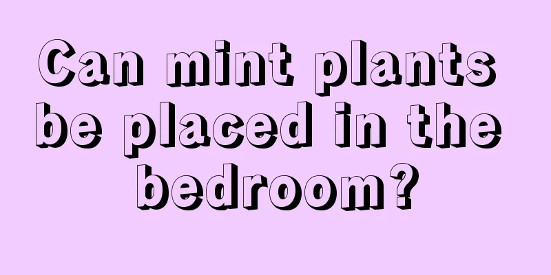 Can mint plants be placed in the bedroom?