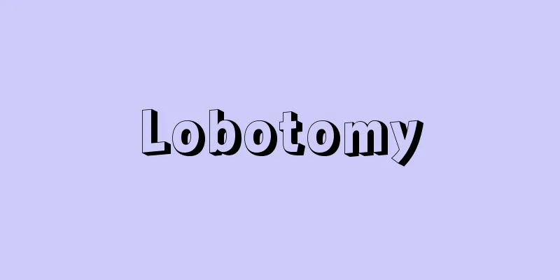 Lobotomy