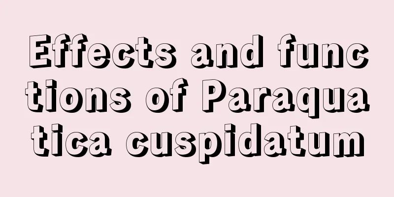Effects and functions of Paraquatica cuspidatum