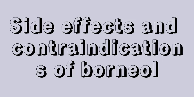 Side effects and contraindications of borneol