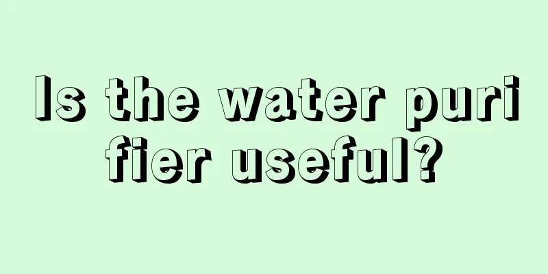 Is the water purifier useful?