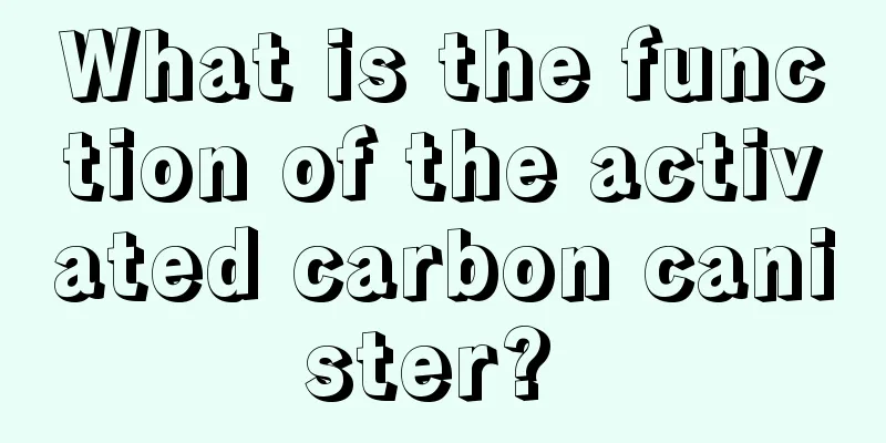 What is the function of the activated carbon canister? 