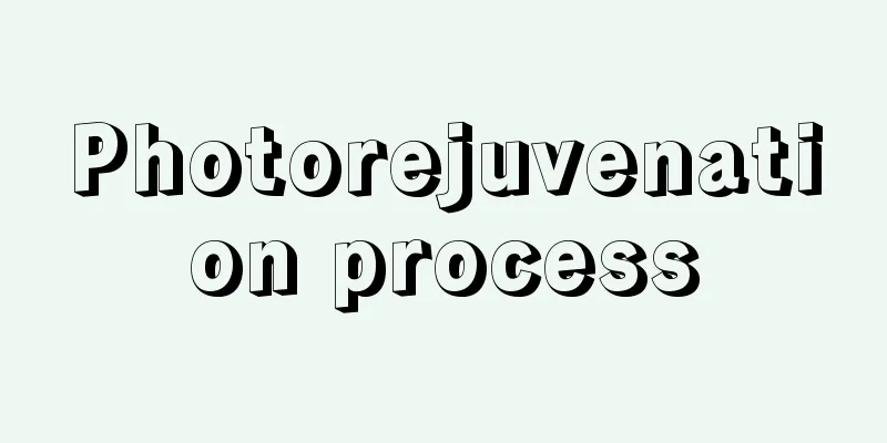 Photorejuvenation process