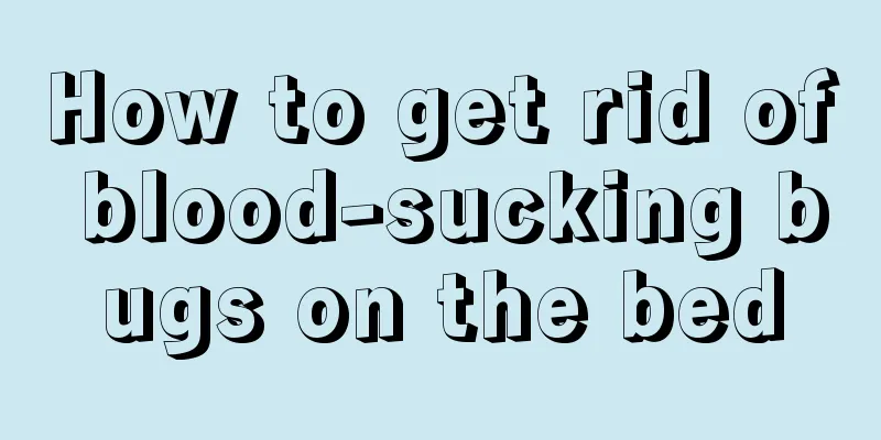 How to get rid of blood-sucking bugs on the bed
