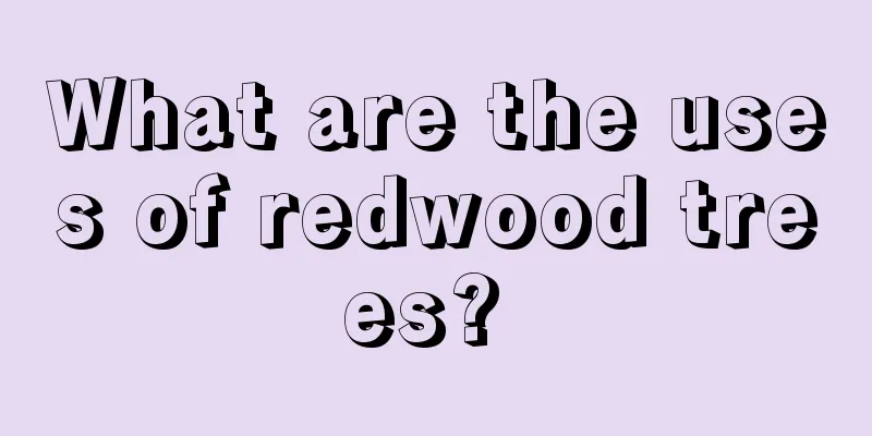 What are the uses of redwood trees? 
