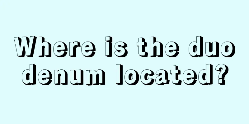 Where is the duodenum located?