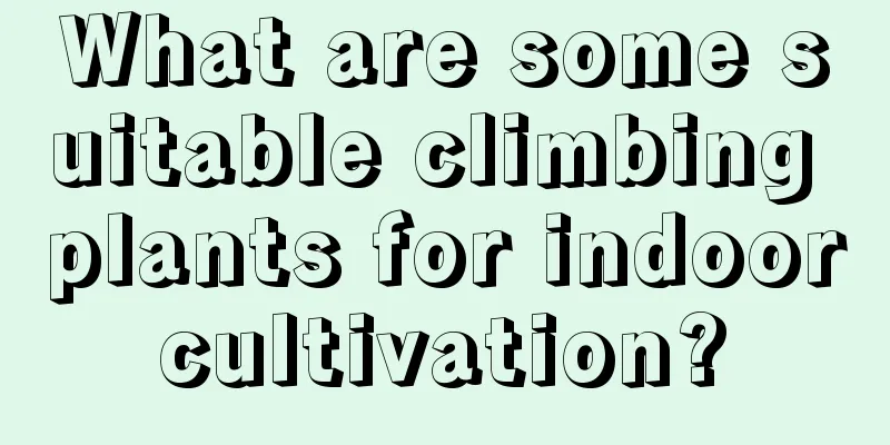 What are some suitable climbing plants for indoor cultivation? 