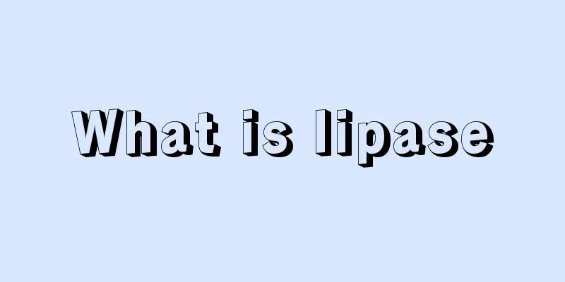 What is lipase