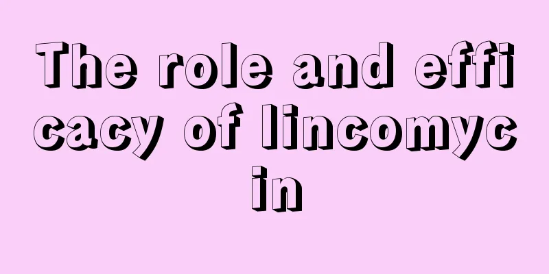 The role and efficacy of lincomycin