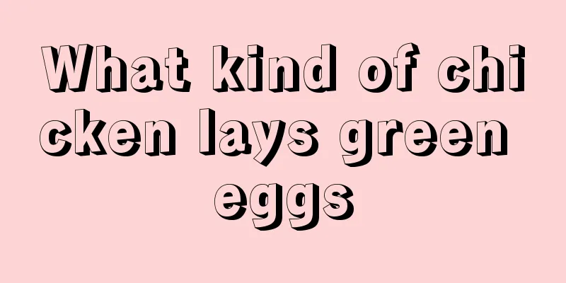 What kind of chicken lays green eggs
