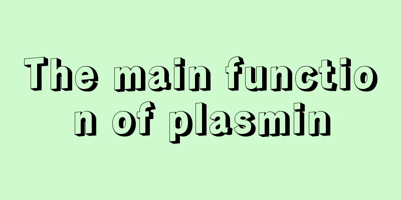The main function of plasmin