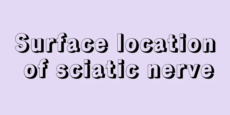 Surface location of sciatic nerve