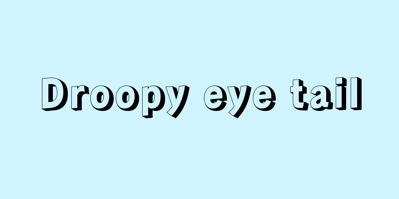 Droopy eye tail