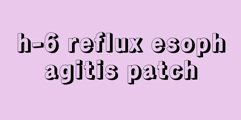 h-6 reflux esophagitis patch