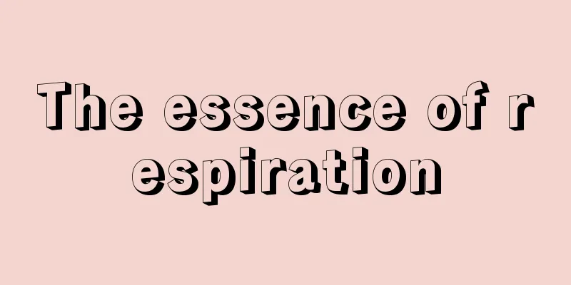 The essence of respiration