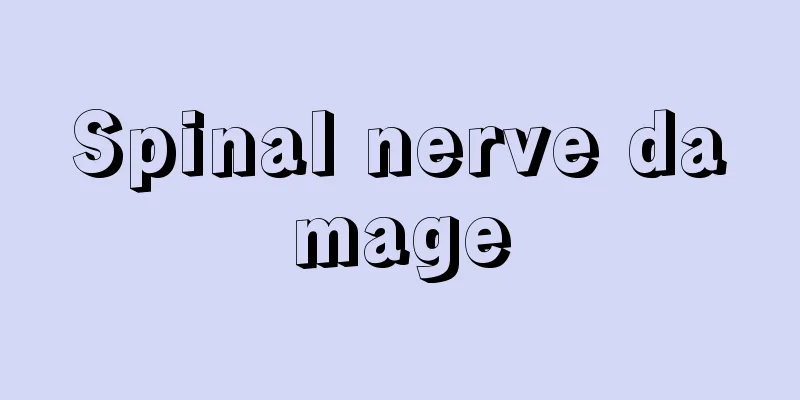 Spinal nerve damage