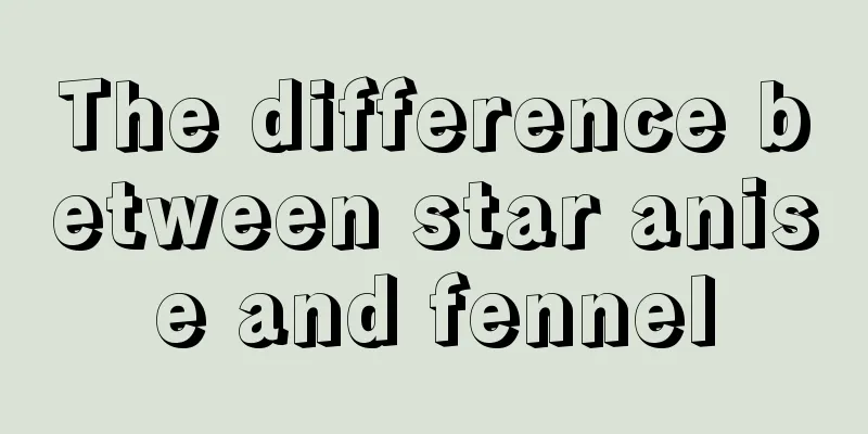The difference between star anise and fennel
