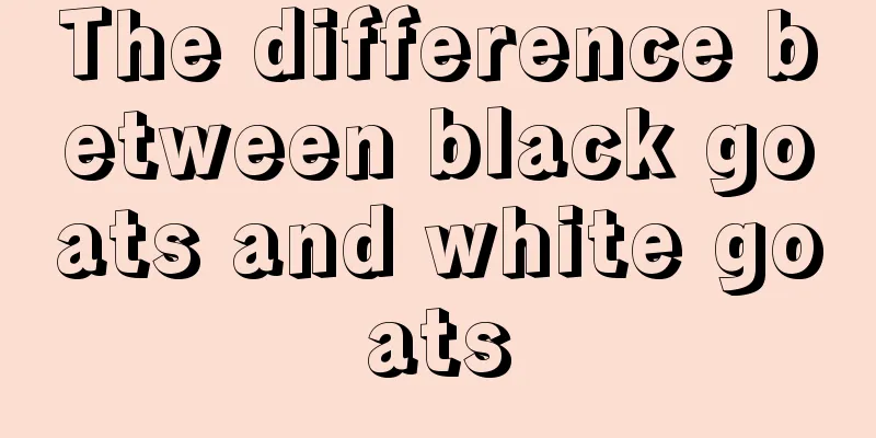 The difference between black goats and white goats