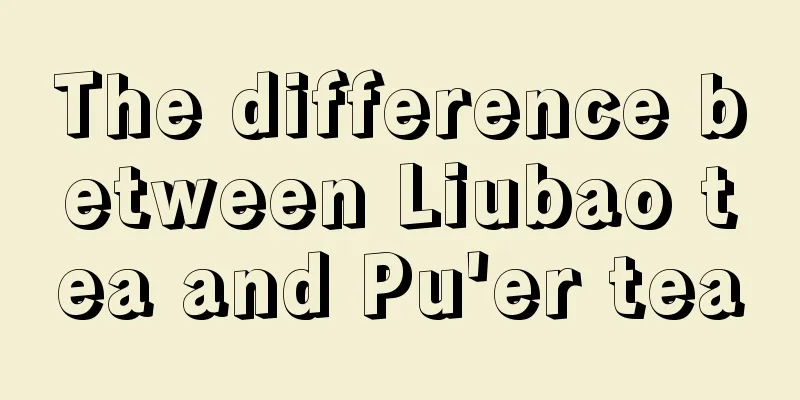 The difference between Liubao tea and Pu'er tea