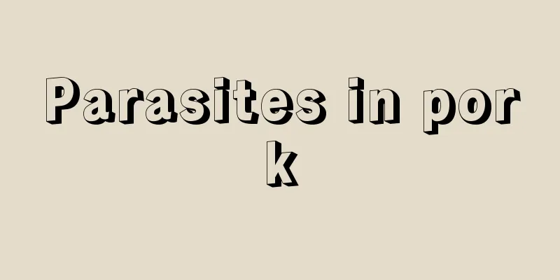 Parasites in pork