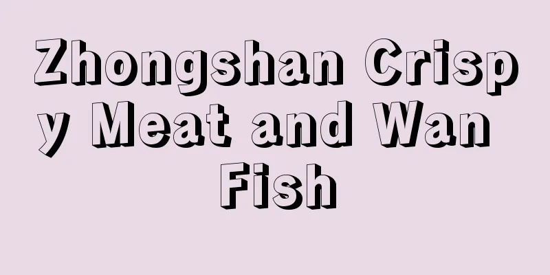 Zhongshan Crispy Meat and Wan Fish