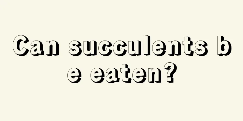 Can succulents be eaten?
