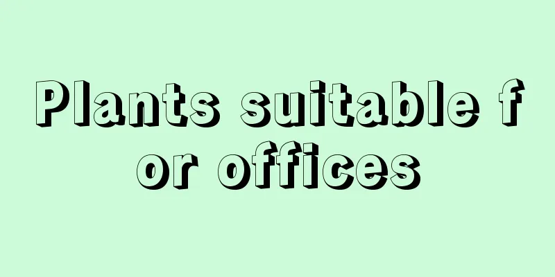Plants suitable for offices