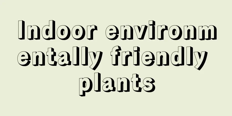 Indoor environmentally friendly plants