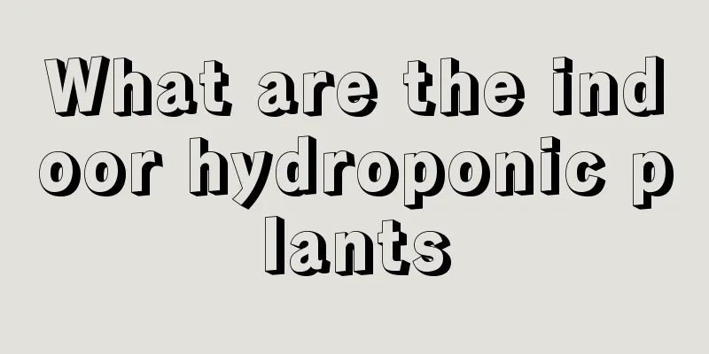 What are the indoor hydroponic plants