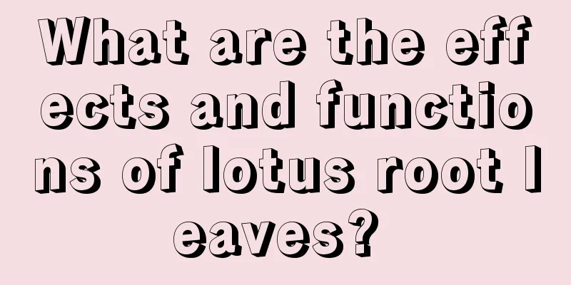 What are the effects and functions of lotus root leaves? 