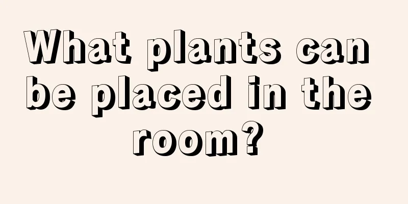 What plants can be placed in the room? 