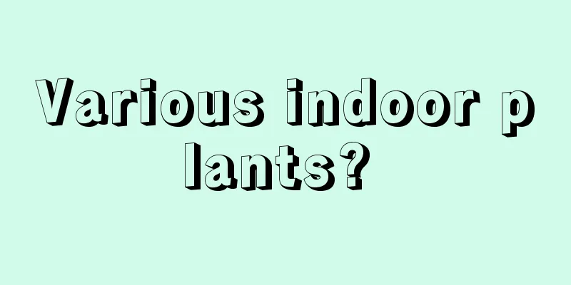 Various indoor plants? 