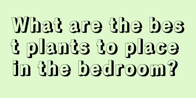 What are the best plants to place in the bedroom? 