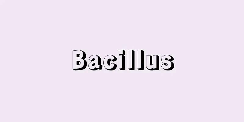 Bacillus