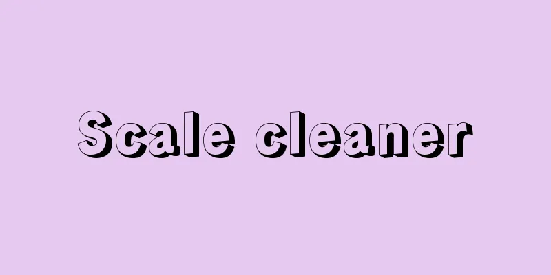 Scale cleaner